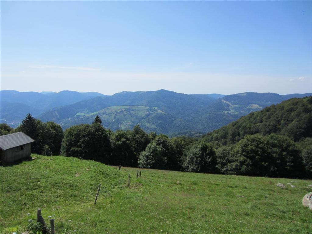 Bois Joli De La Freyere Hindisheim Exterior foto
