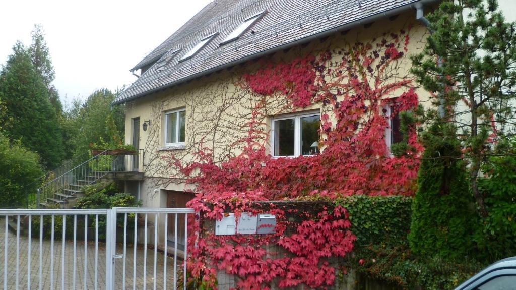 Bois Joli De La Freyere Hindisheim Exterior foto